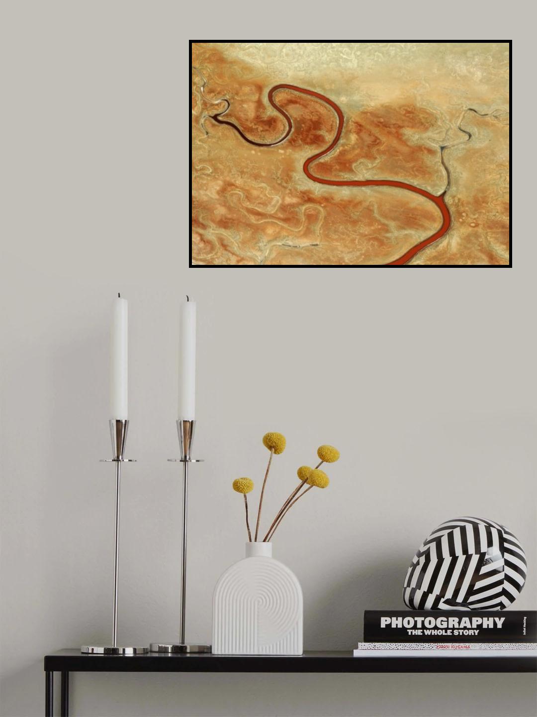 Vein Poster och Canvastavla