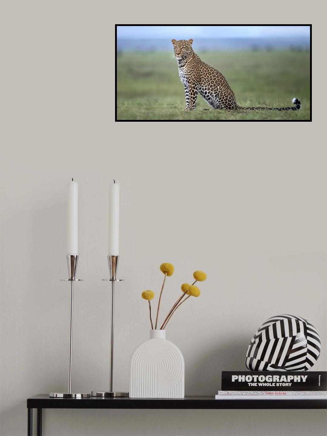 Looking for prey Poster och Canvastavla