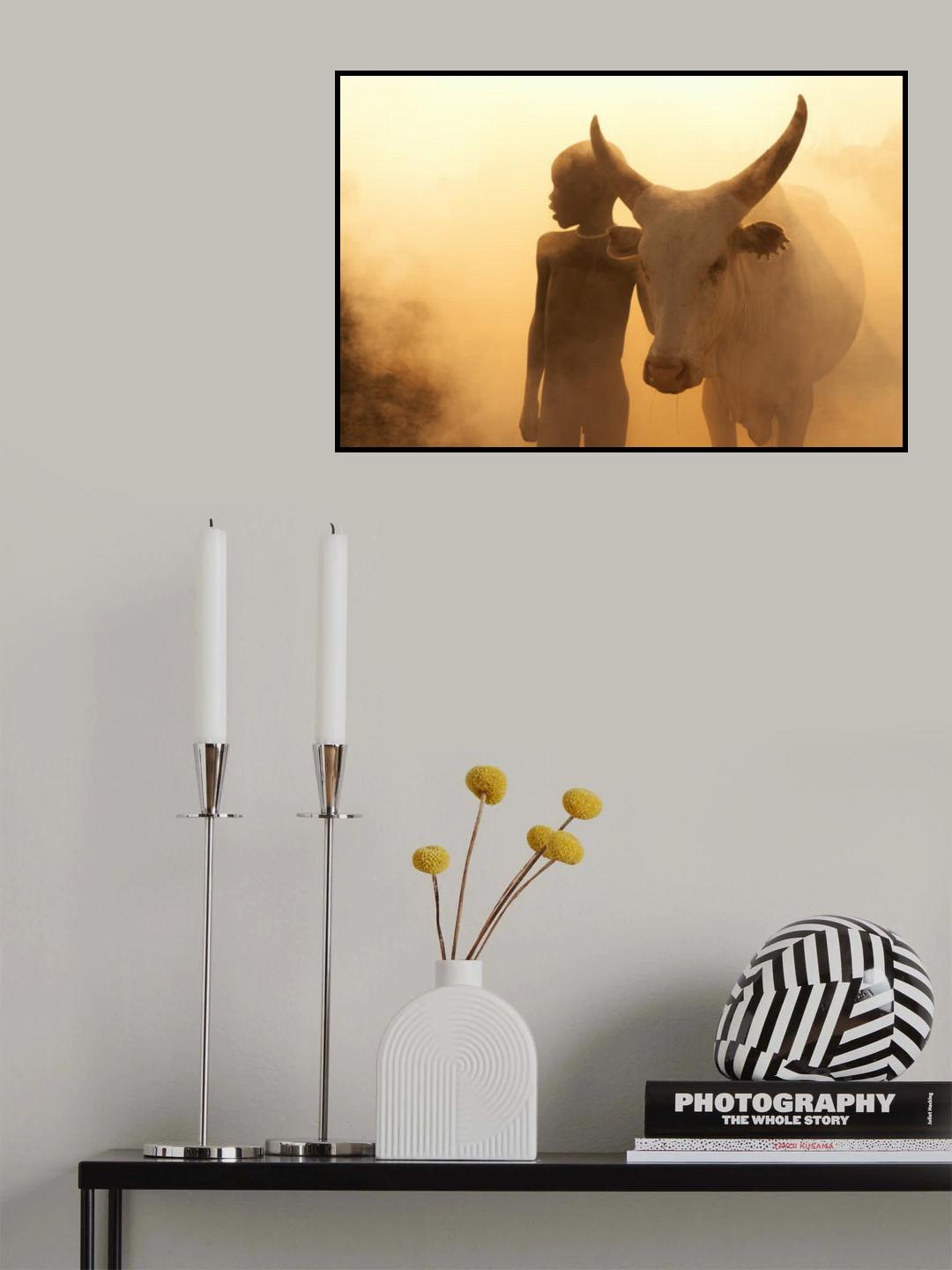 Boy of Cattle Poster och Canvastavla