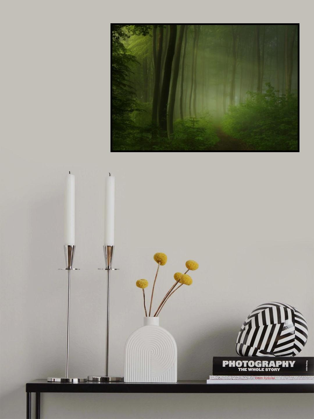 forest morning Poster och Canvastavla