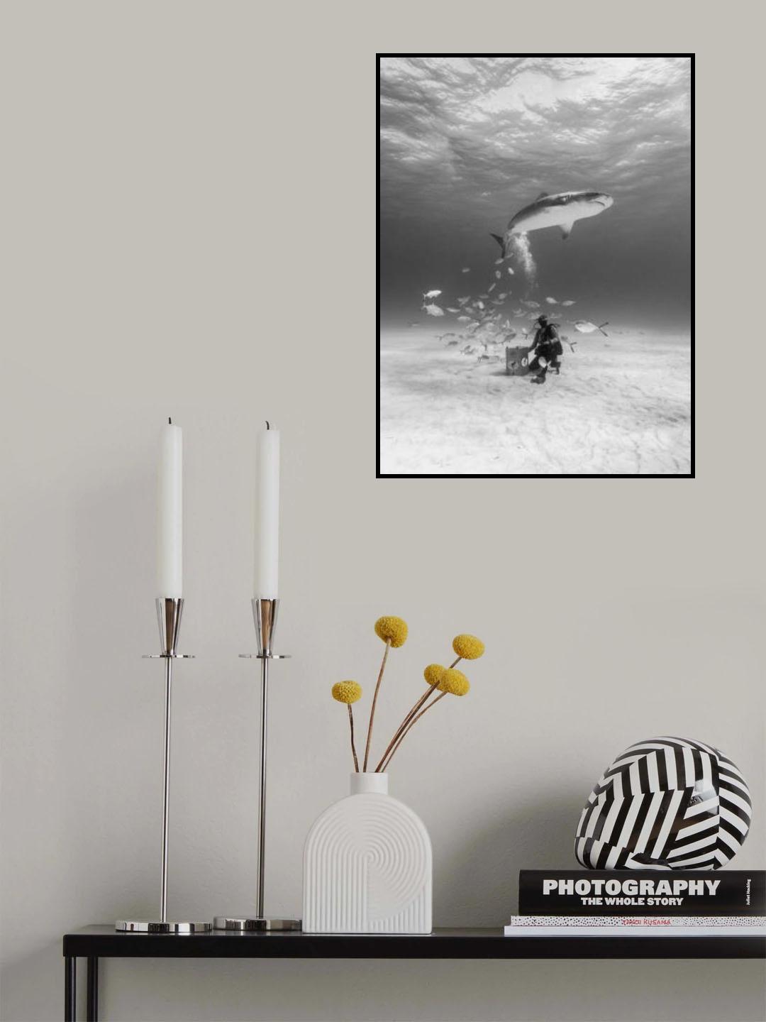 Fly over me Poster och Canvastavla