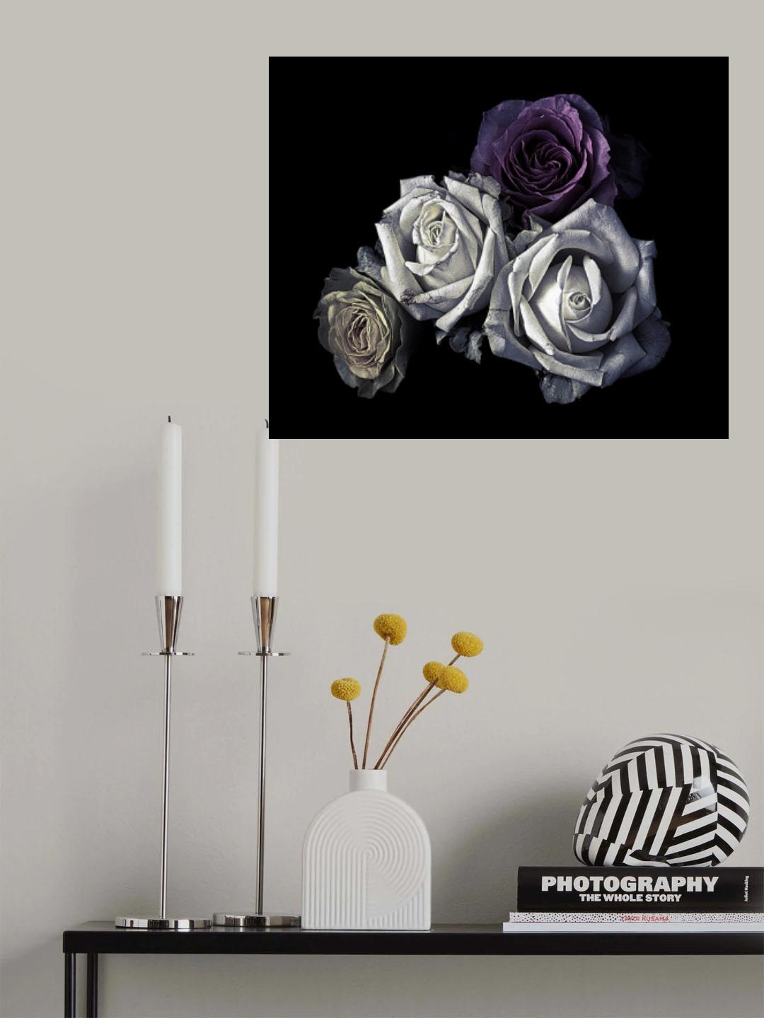 Roses Poster och Canvastavla
