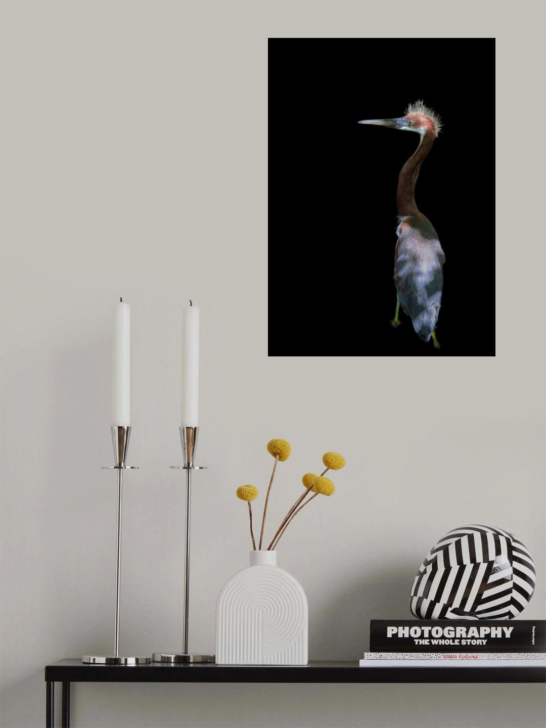 Bad haired day Poster och Canvastavla
