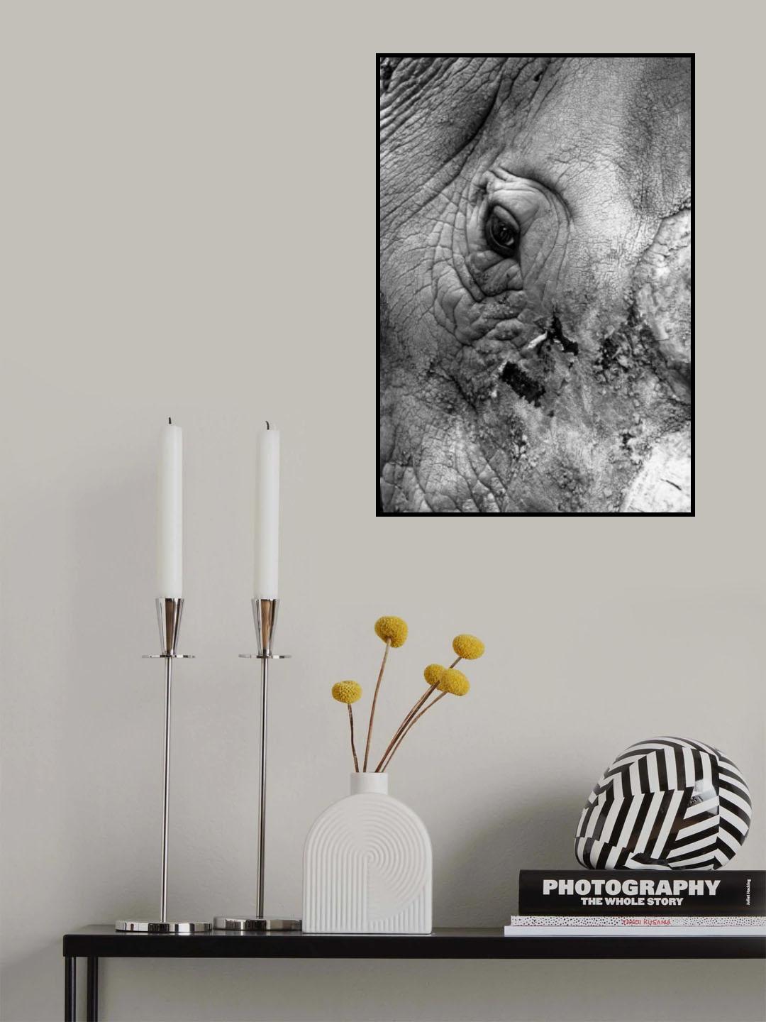 Southern White Rhino Poster och Canvastavla