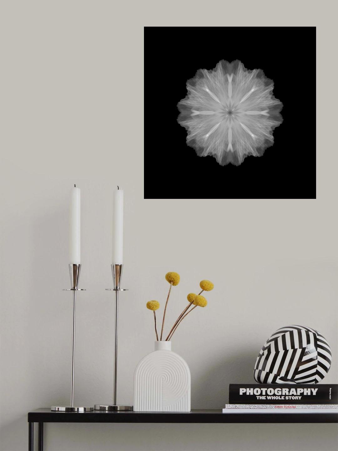 A former flower Poster och Canvastavla