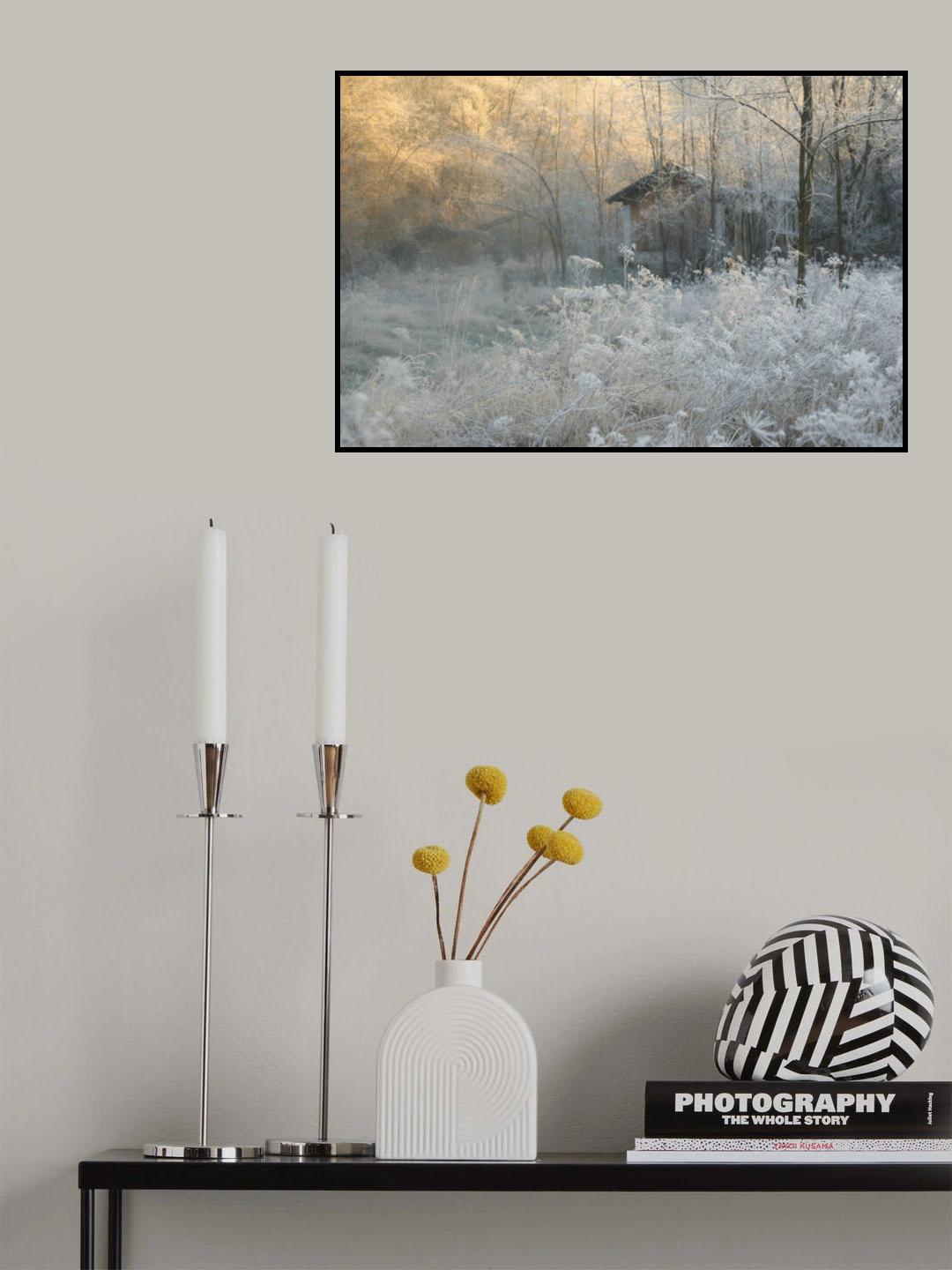 * Poster och Canvastavla