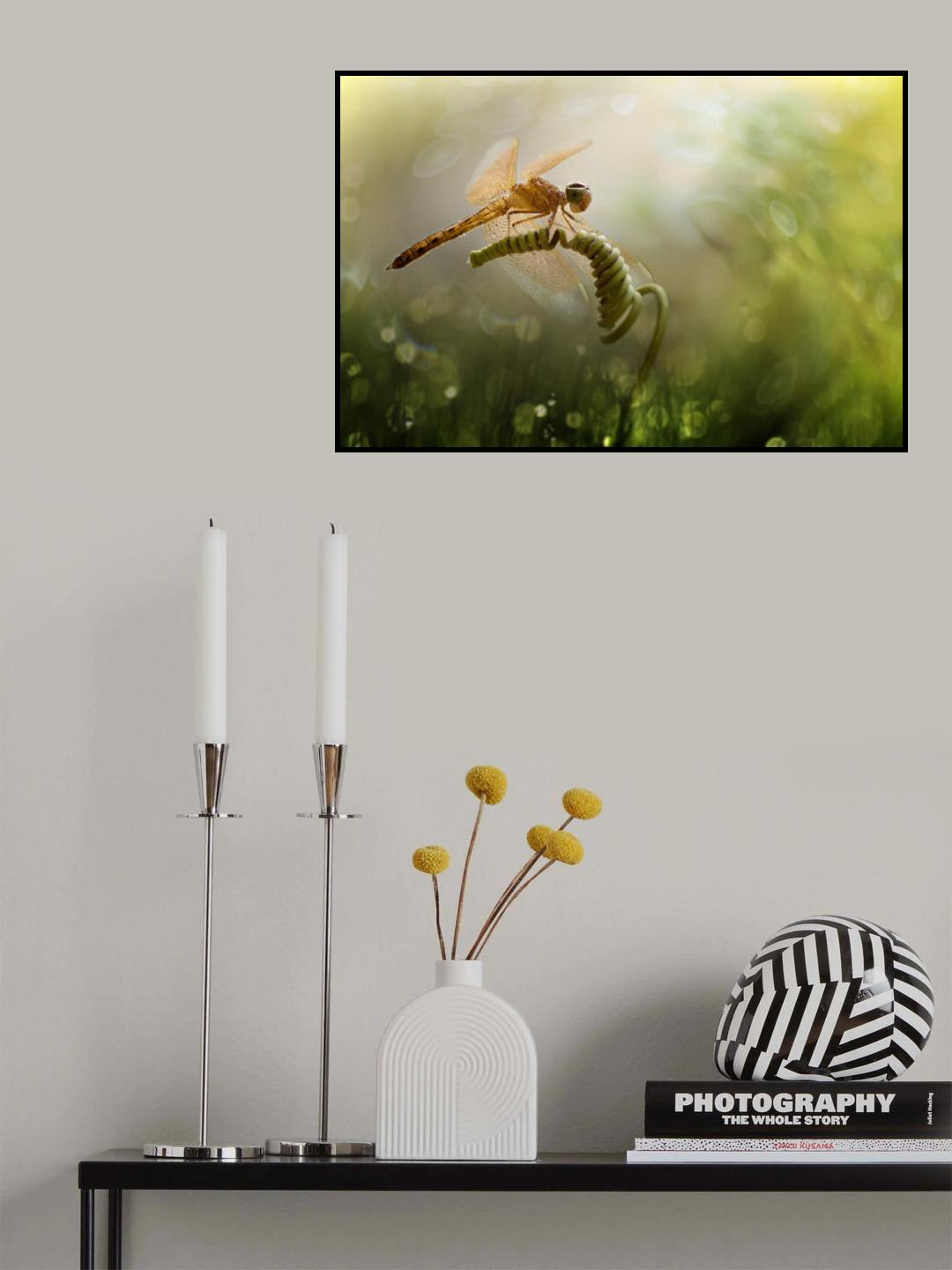 The Vortex Poster och Canvastavla