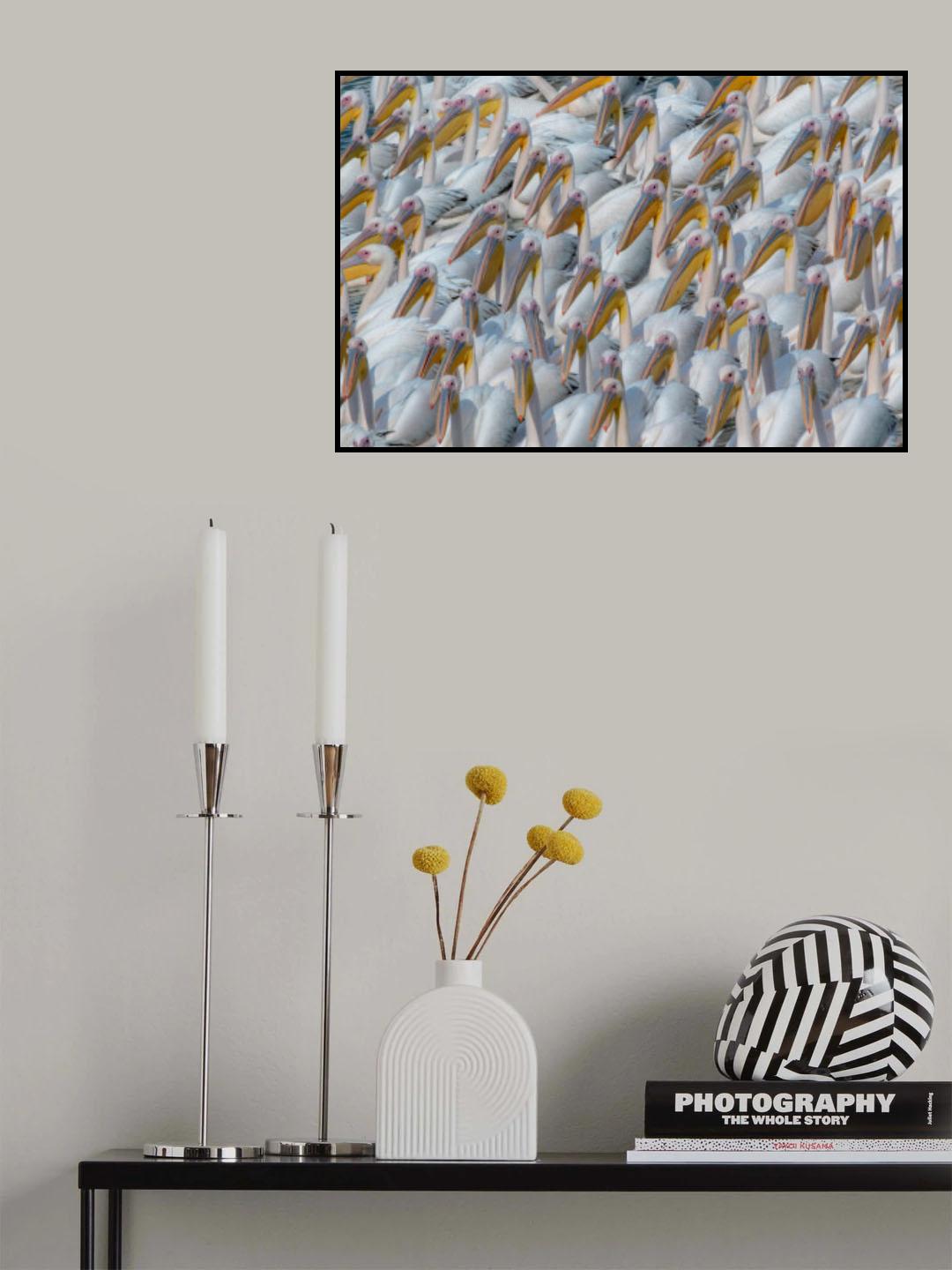 Pelican migration Poster och Canvastavla