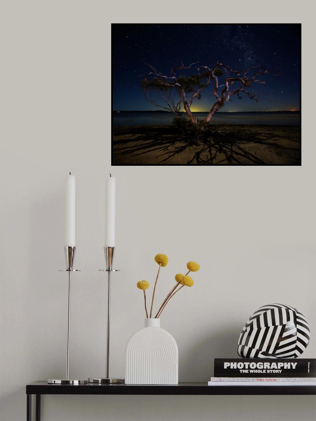 The tree Poster och Canvastavla