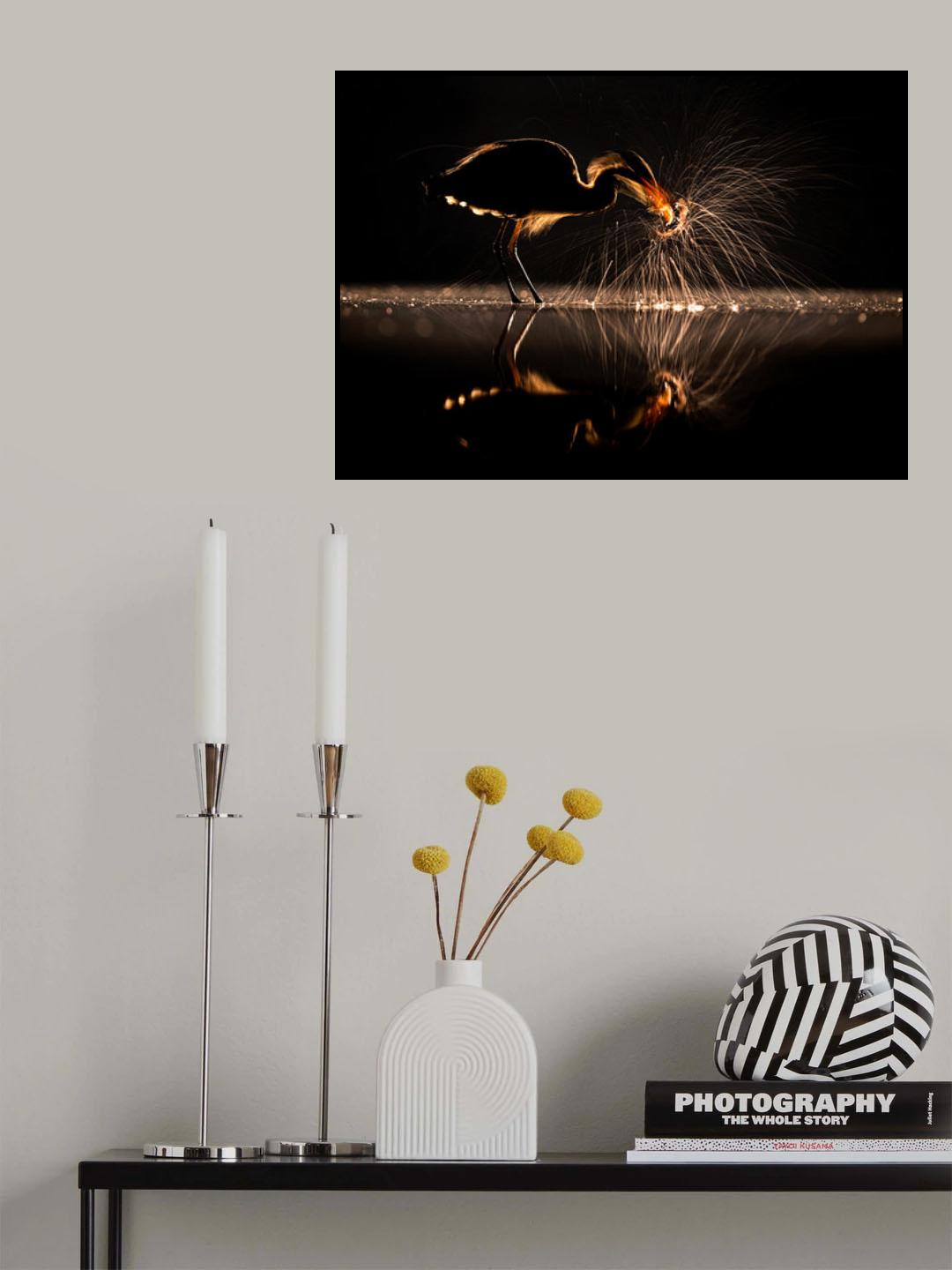 Light and Shadow Poster och Canvastavla