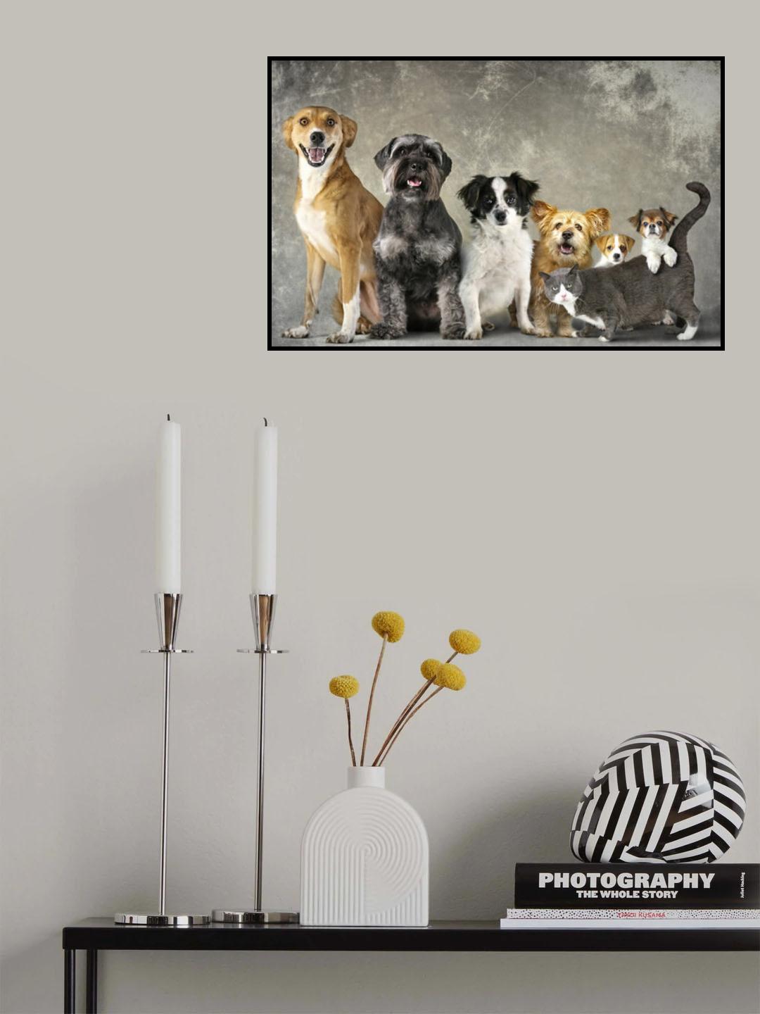 Help US Poster och Canvastavla