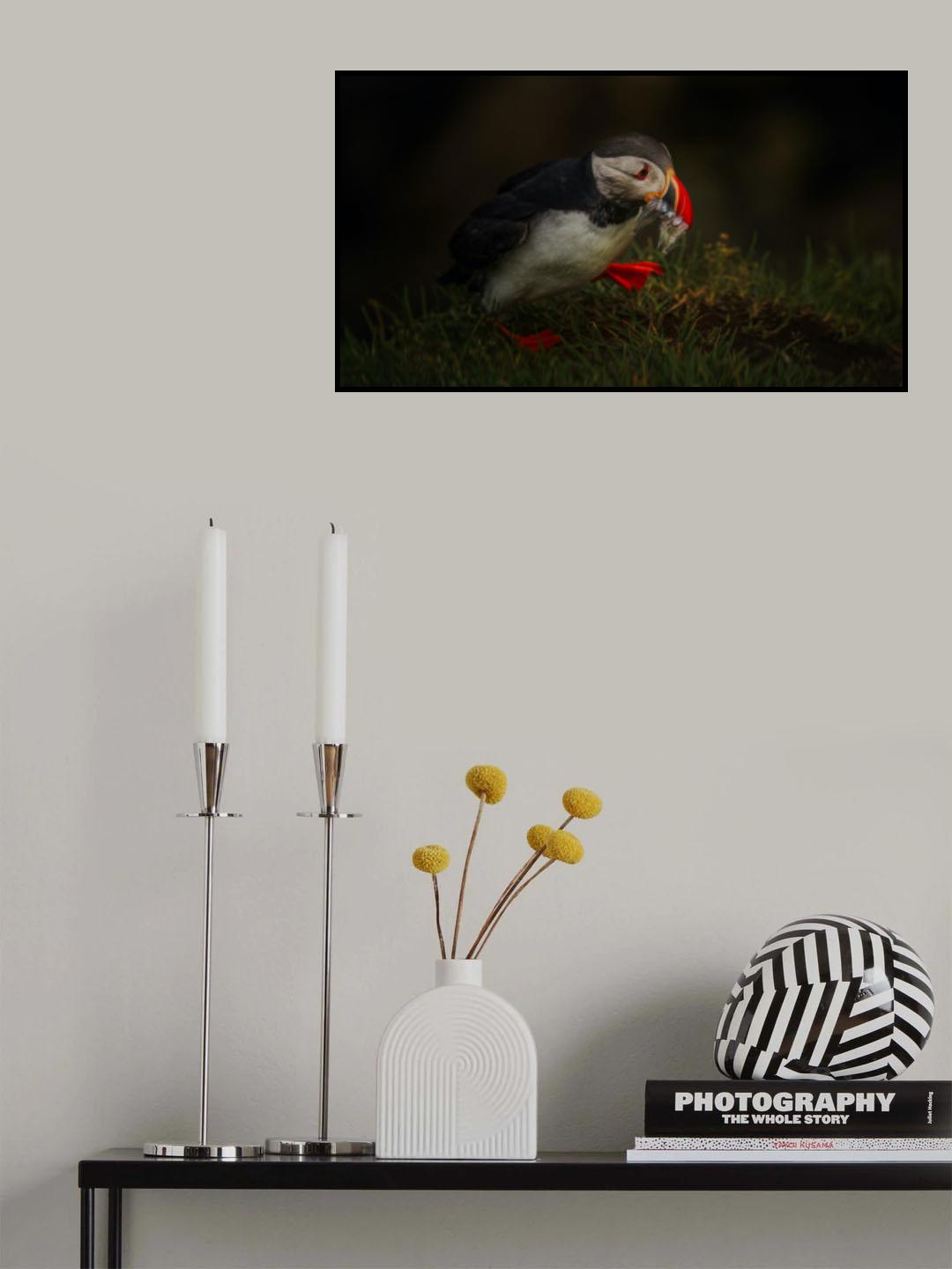 Sad Puffin Poster och Canvastavla