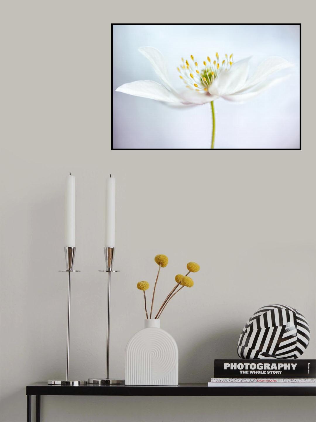 nemorosa Poster och Canvastavla