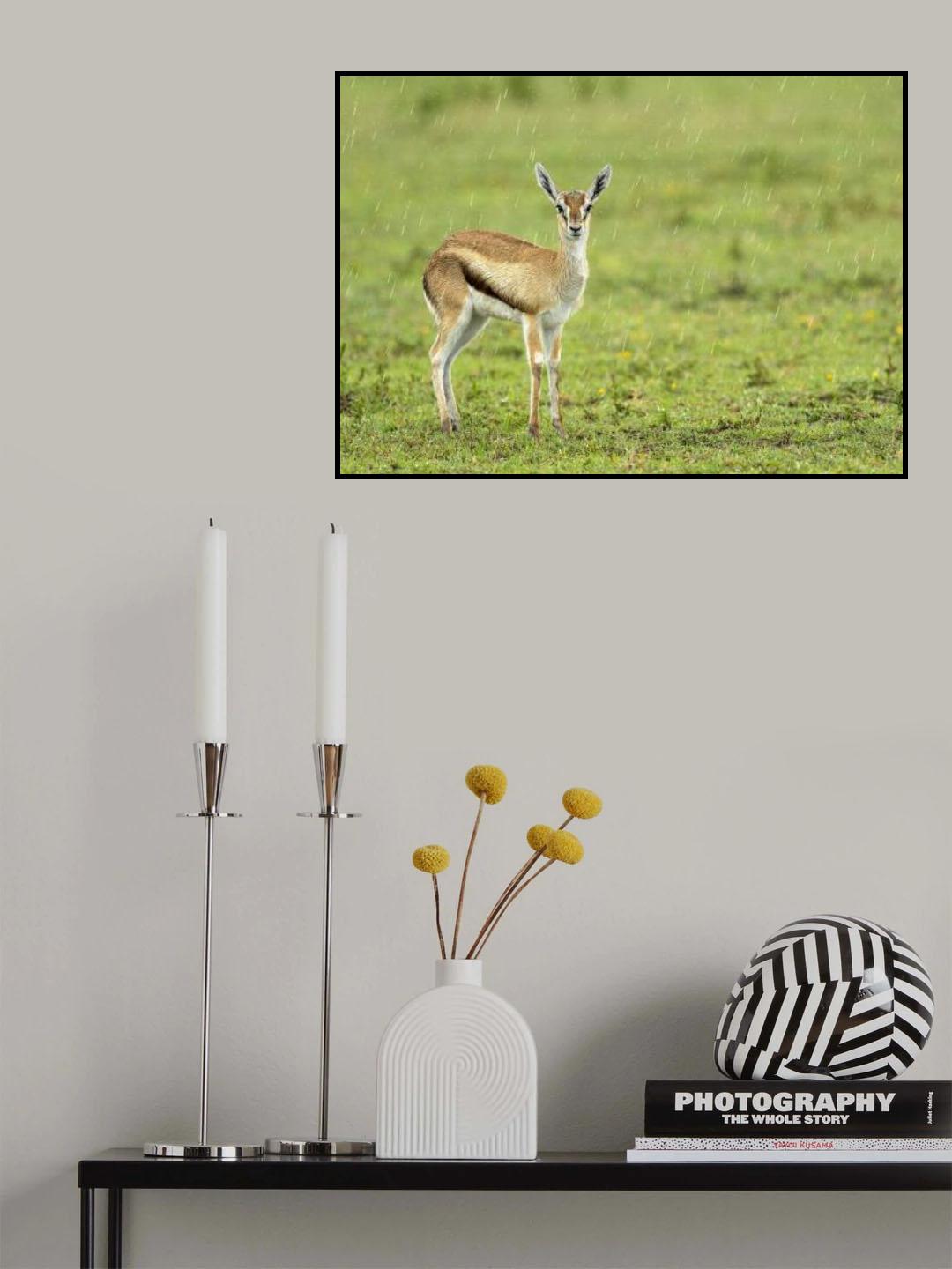 A rainy day Poster och Canvastavla