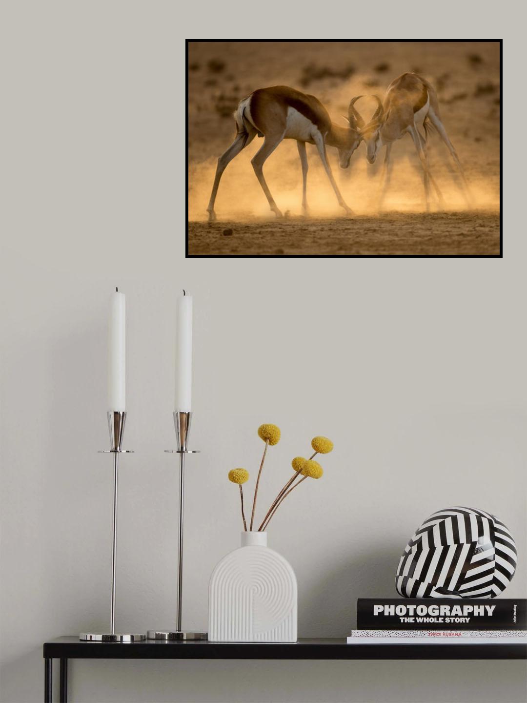 DESERT DUEL Poster och Canvastavla
