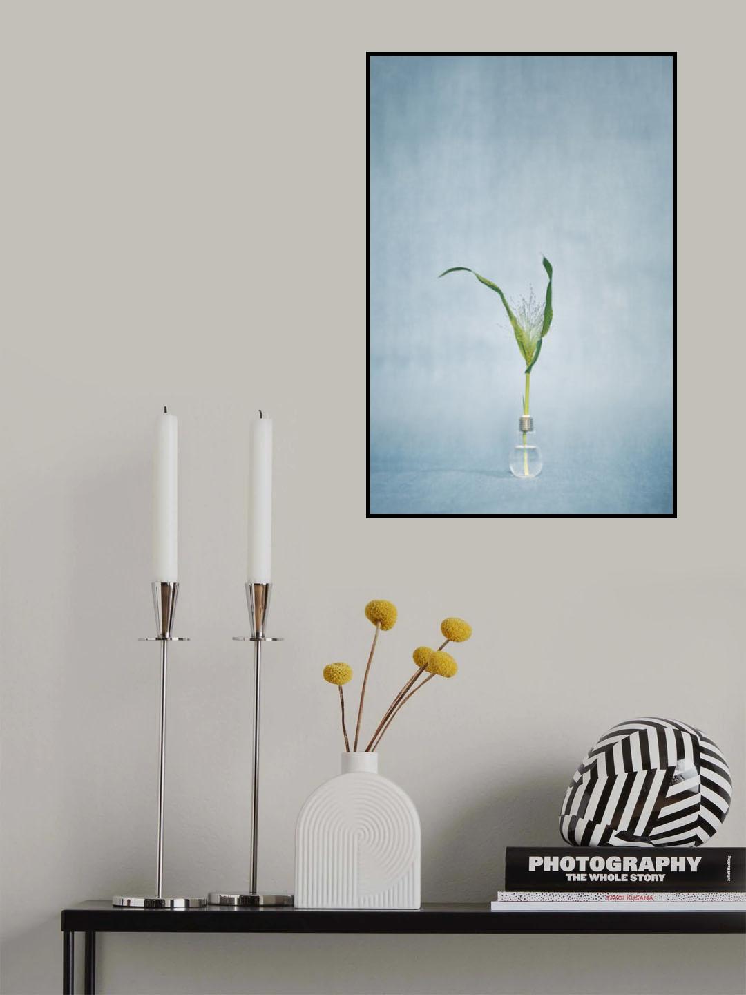 grass in the blue Poster och Canvastavla