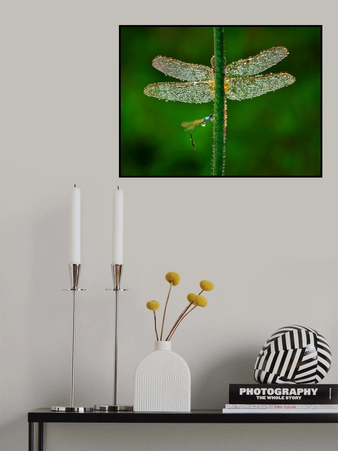 Dragonfly Poster och Canvastavla