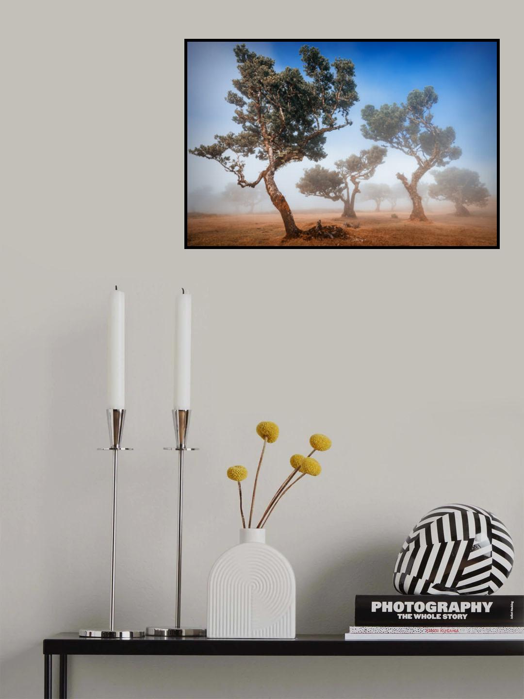 Fanal Poster och Canvastavla