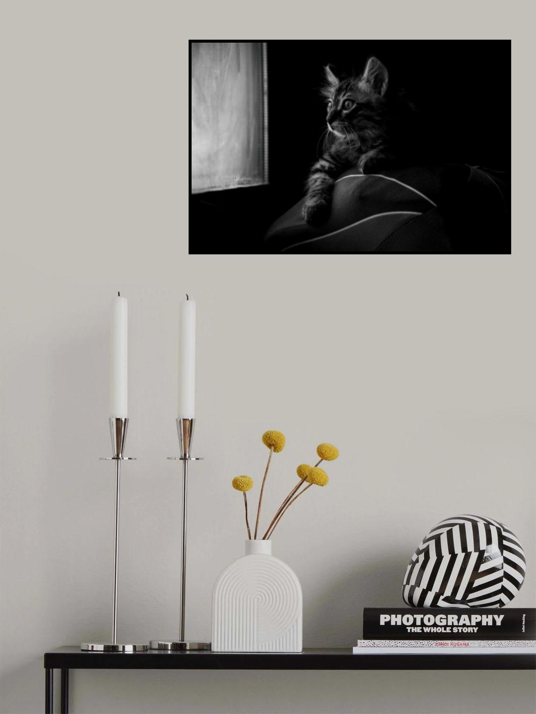 SIMBA Poster och Canvastavla