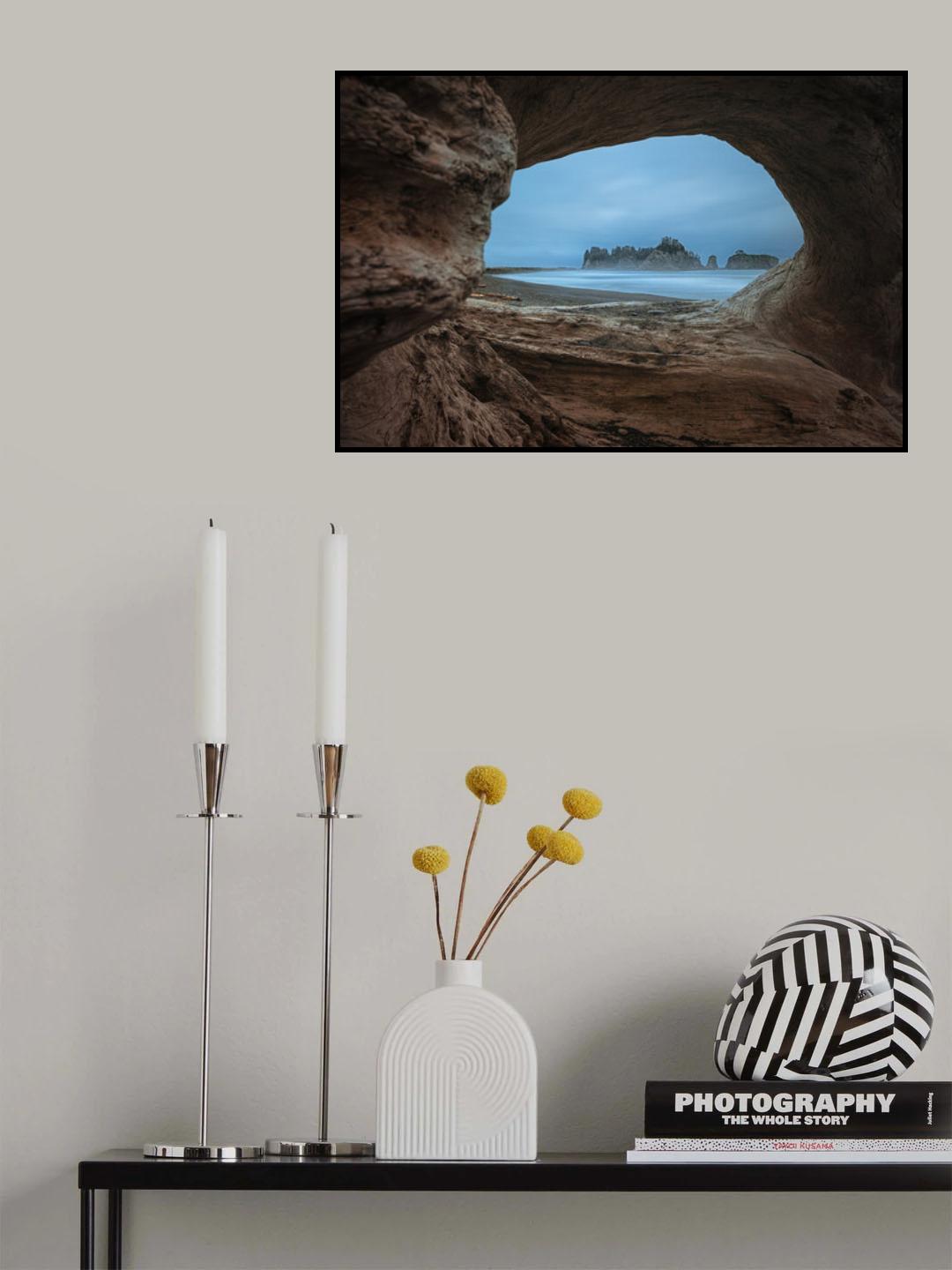 View from a Hollow Tree Poster och Canvastavla