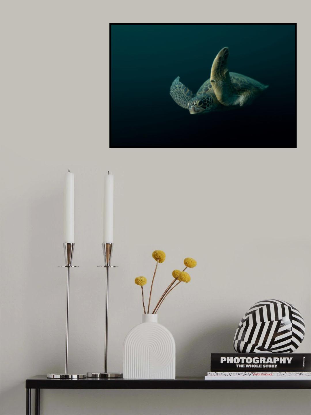 Speedster Poster och Canvastavla