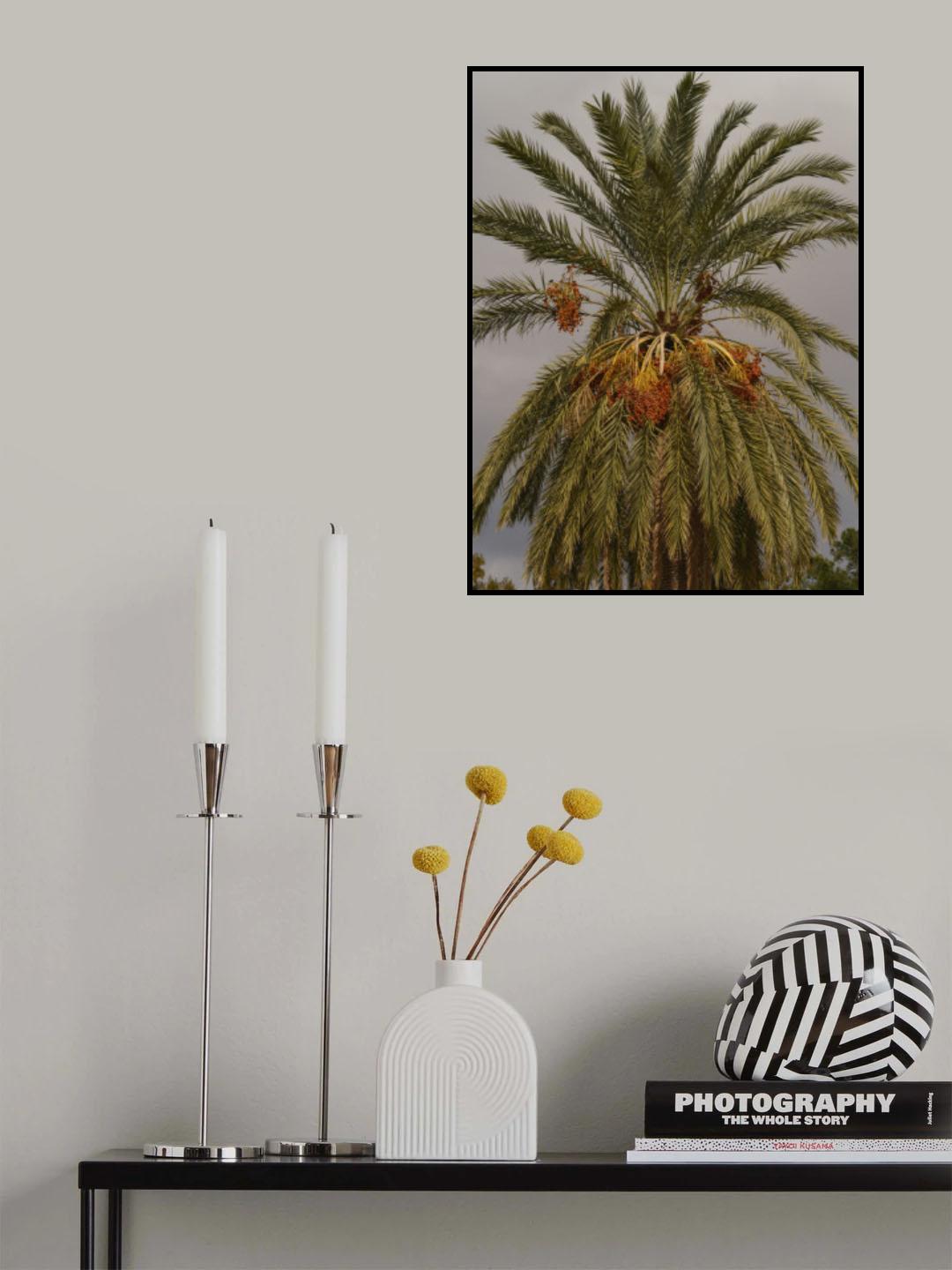palm trees Poster och Canvastavla