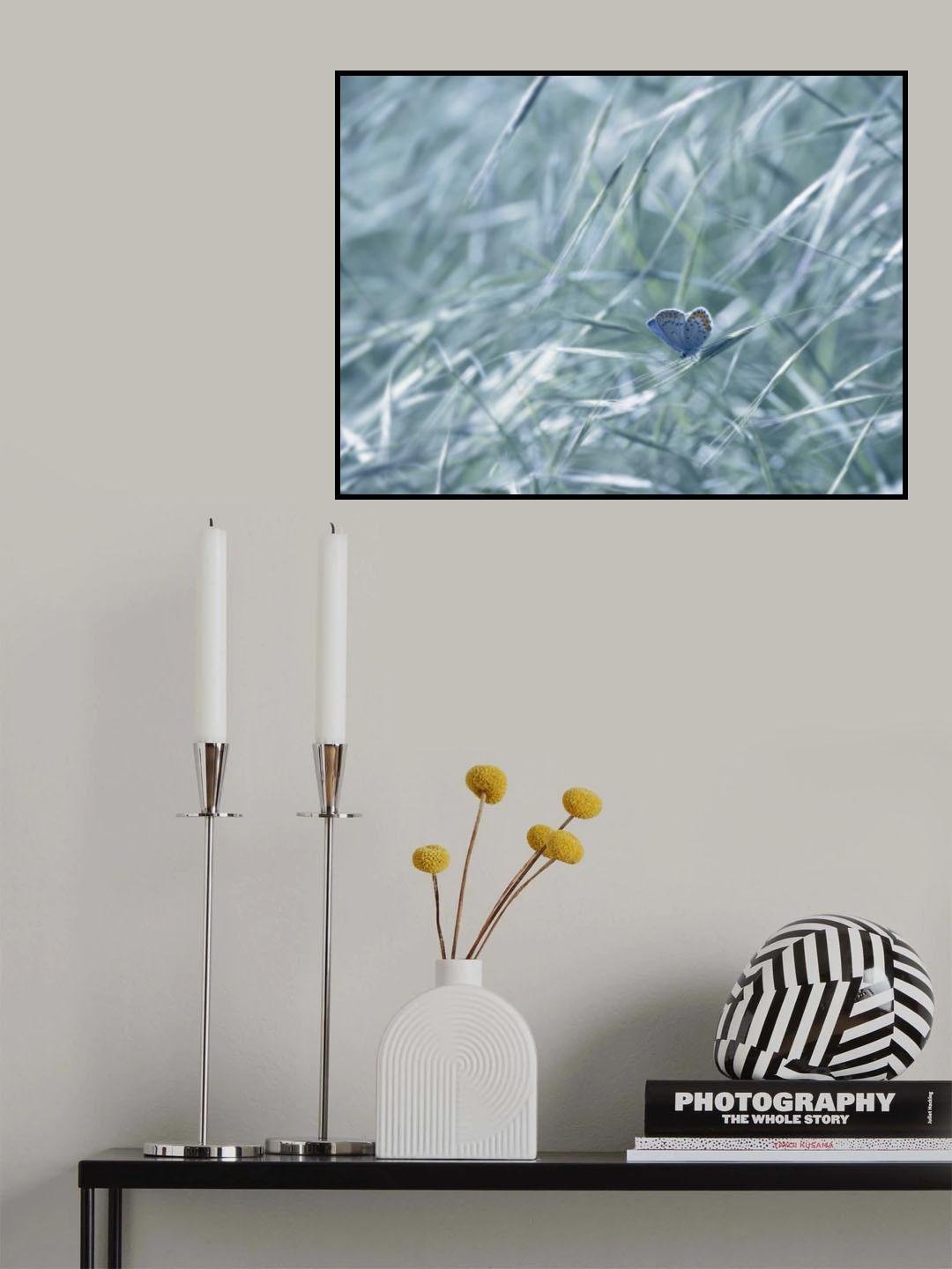 Poster och Canvastavla