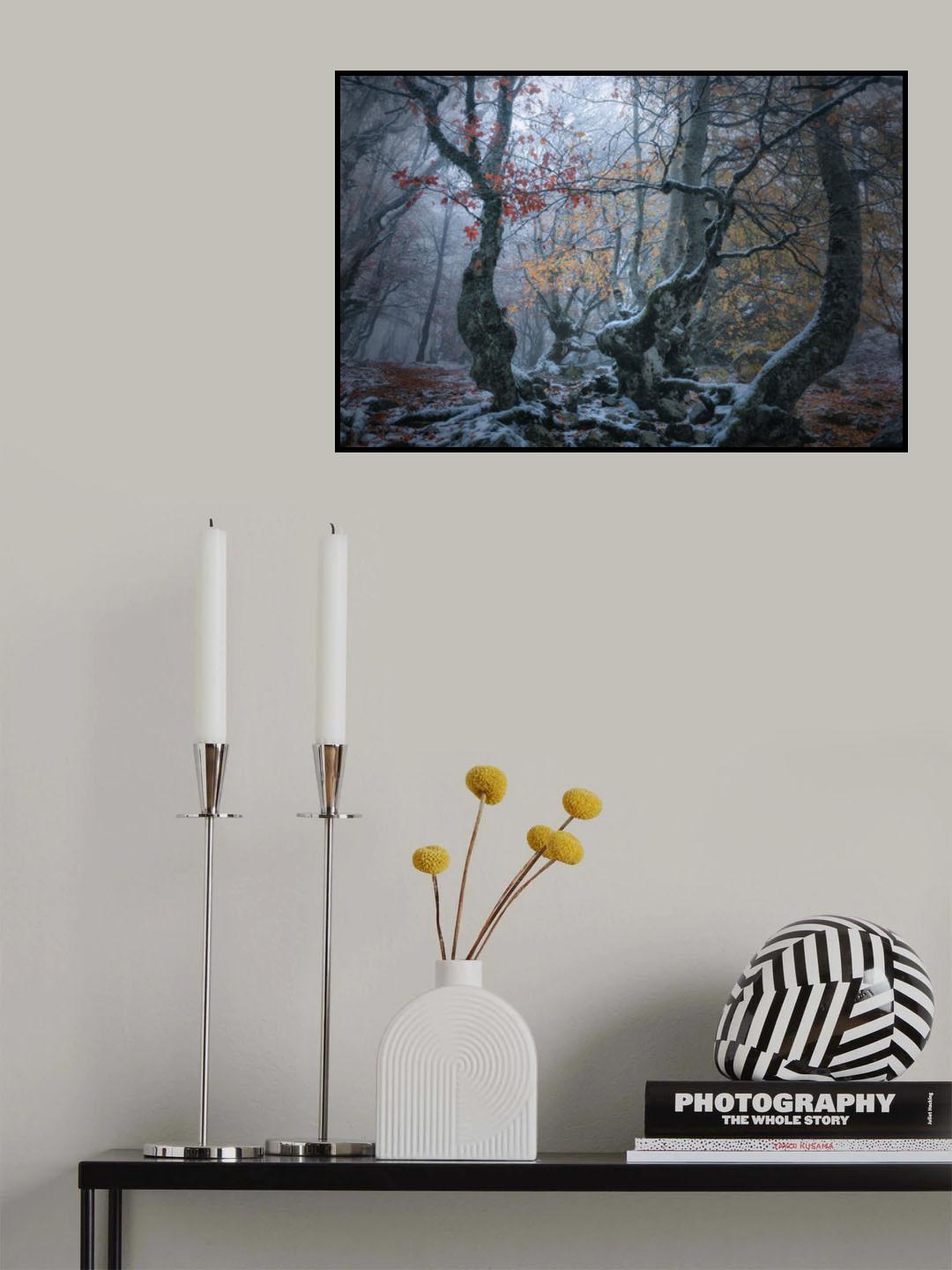 Late autumn Poster och Canvastavla