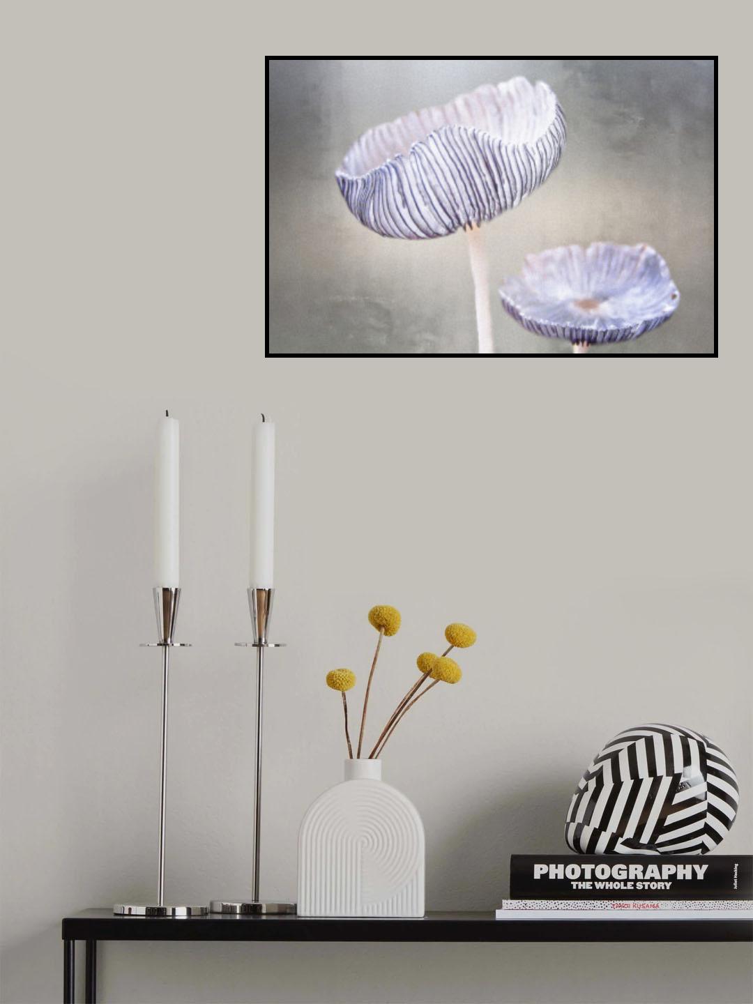 mushroom Poster och Canvastavla