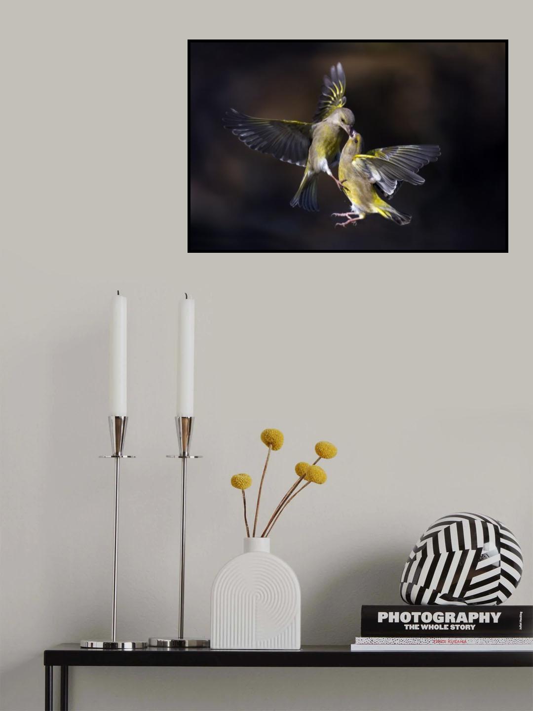 Flying Kiss 11 Poster och Canvastavla
