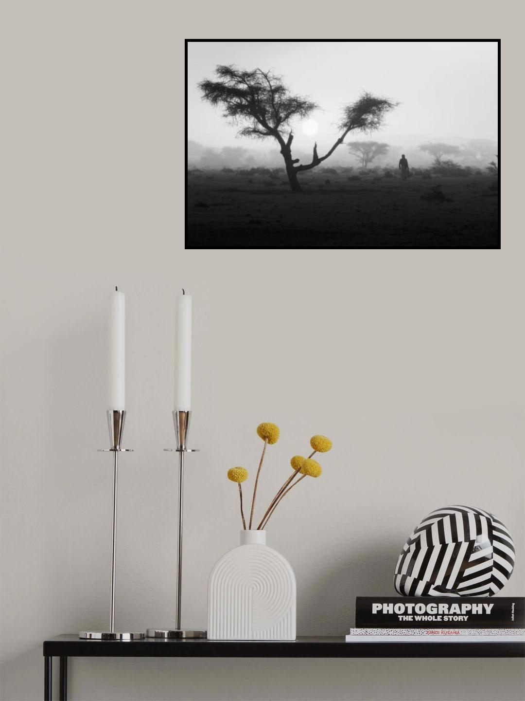 Lost in the fog Poster och Canvastavla