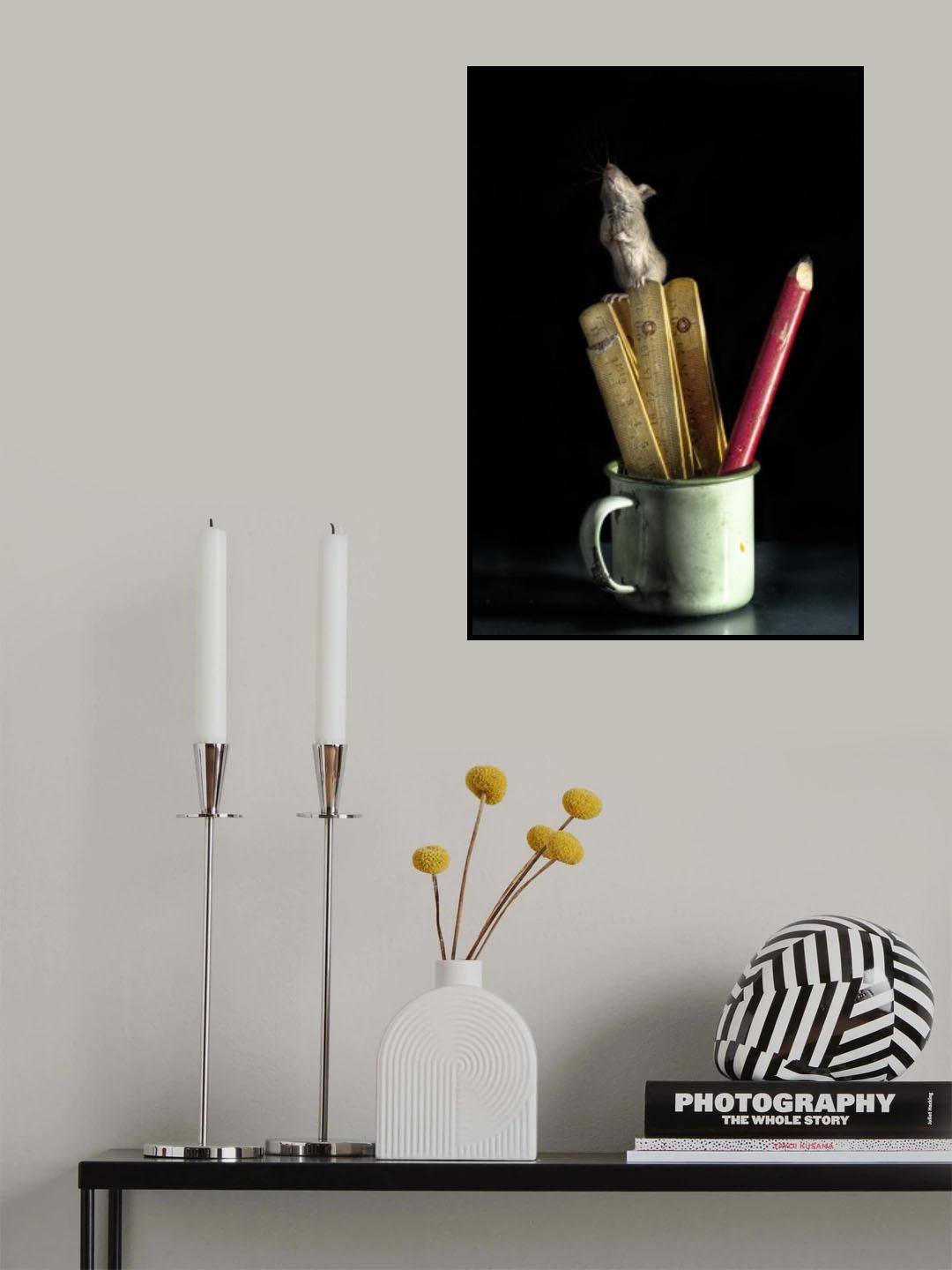Poster och Canvastavla