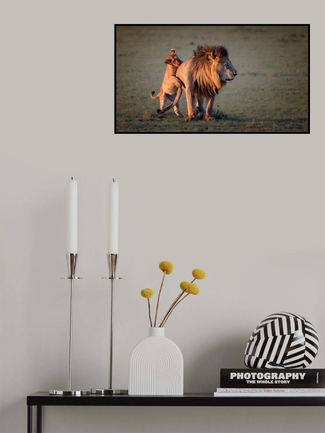 Father and cub Poster och Canvastavla