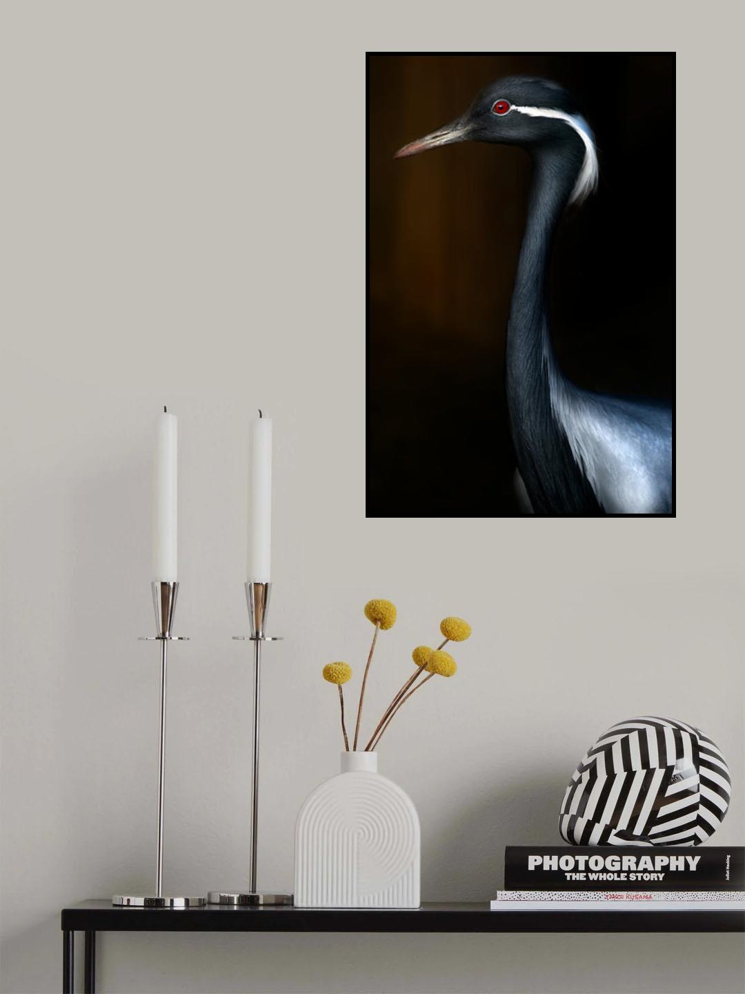 Demoiselle crane portrait Poster och Canvastavla