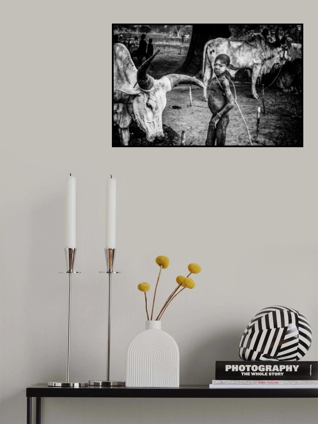 Poster och Canvastavla