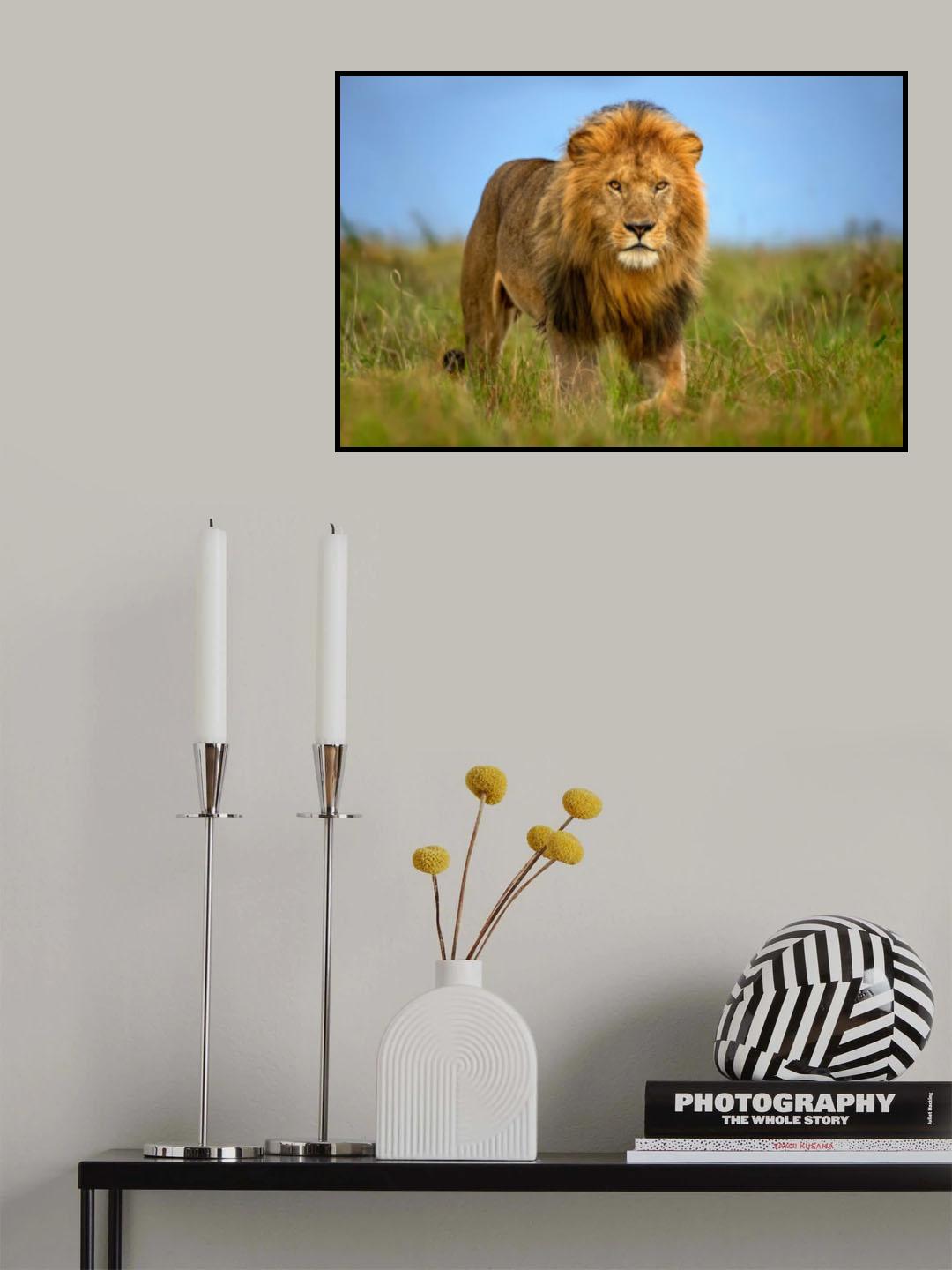 Lion patrol Poster och Canvastavla