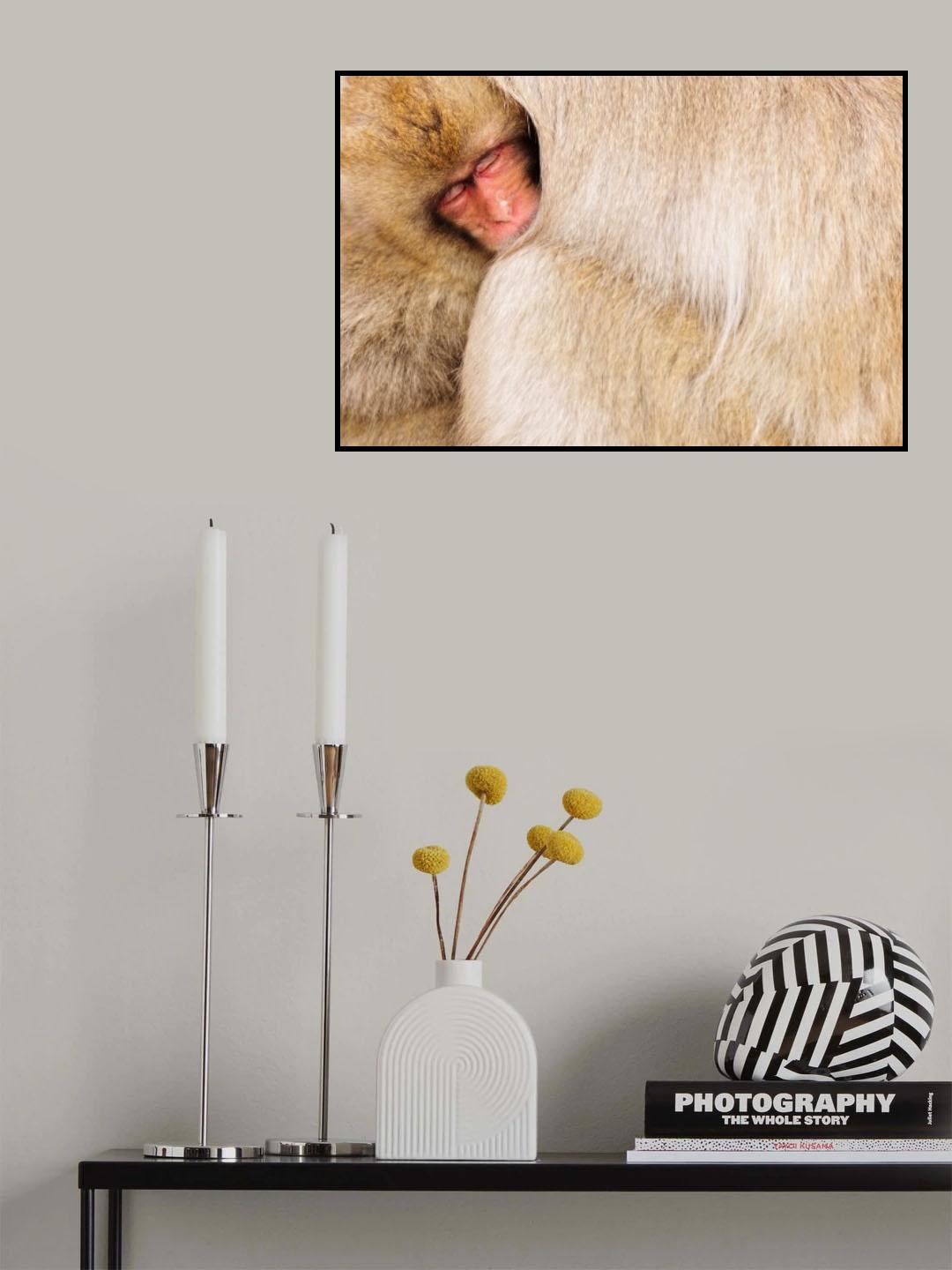 Sleeping beauty Poster och Canvastavla