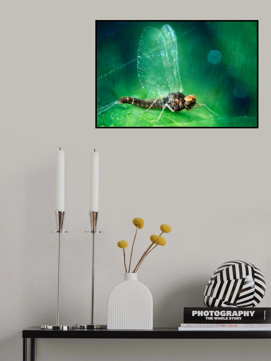 crippled may fly Poster och Canvastavla