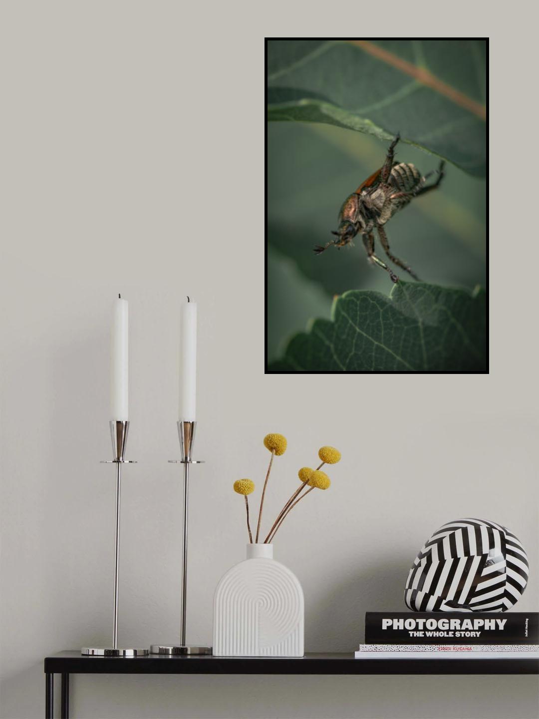 New detour found Poster och Canvastavla
