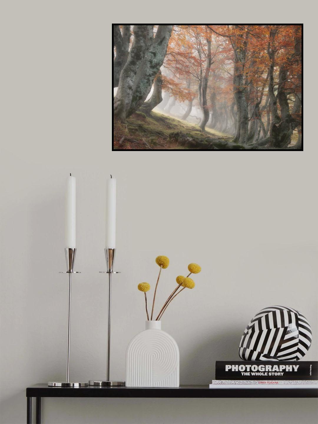 Twisted Beeches Poster och Canvastavla