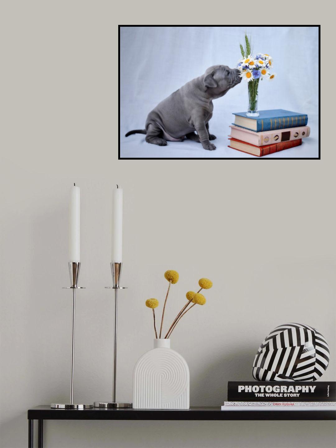 Smells good... ) Poster och Canvastavla