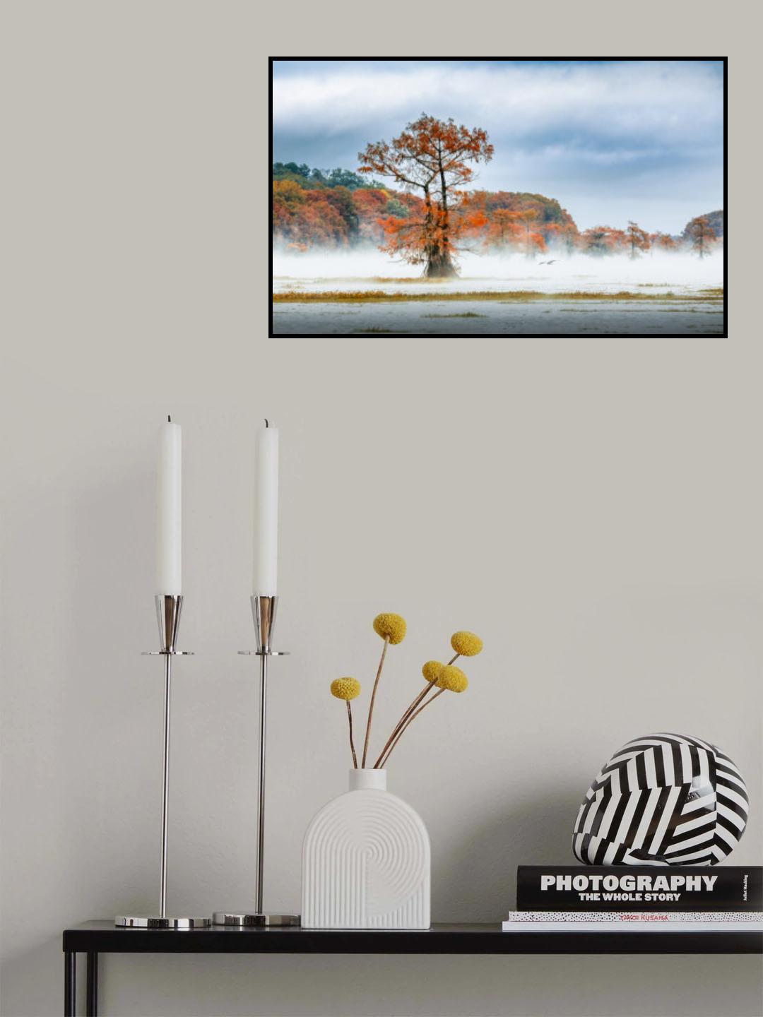 Mist Over Caddo Lake Poster och Canvastavla