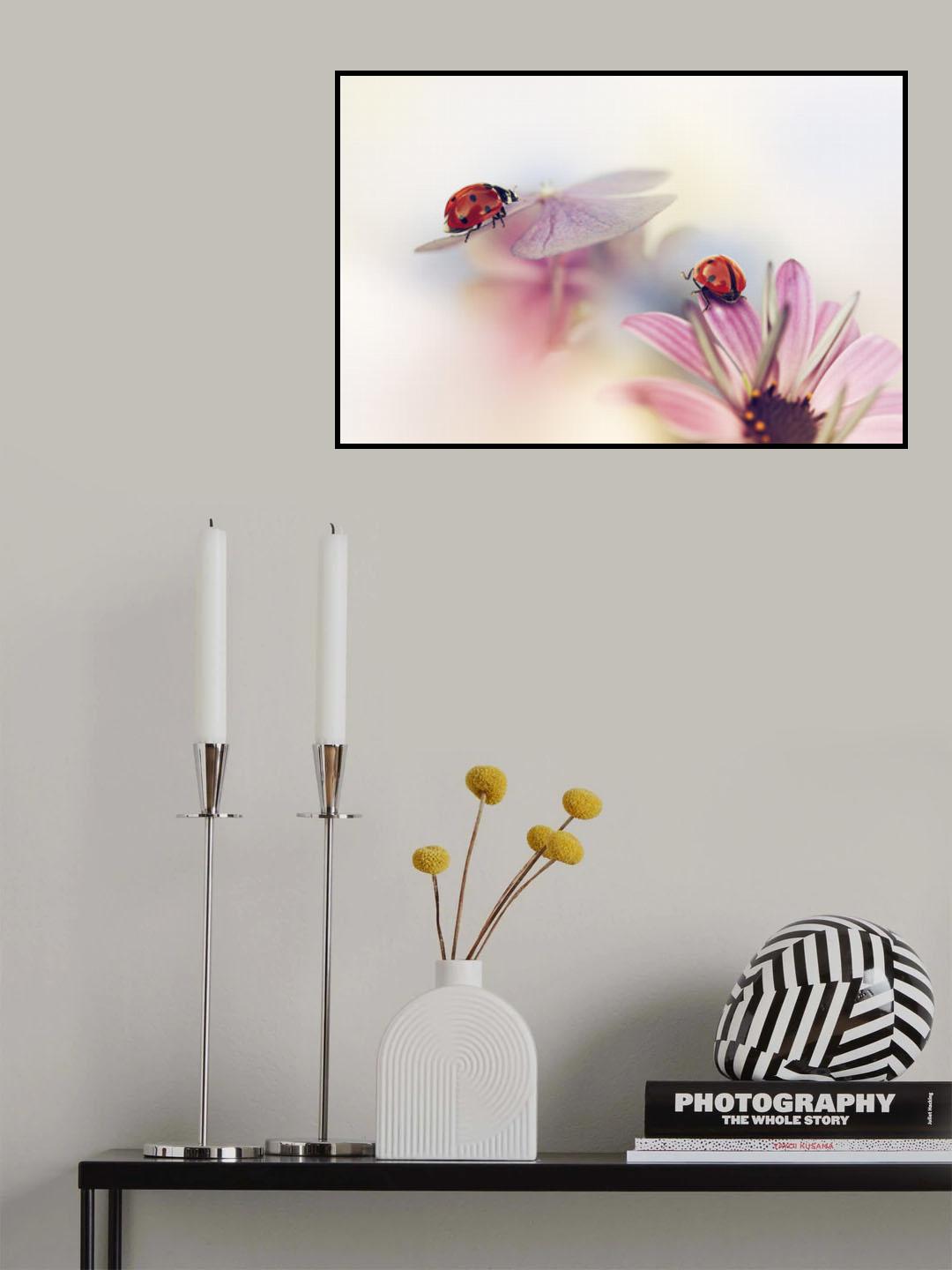 Last days of summer Poster och Canvastavla