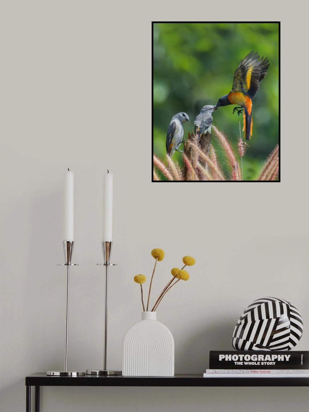 mantenan birds2 Poster och Canvastavla