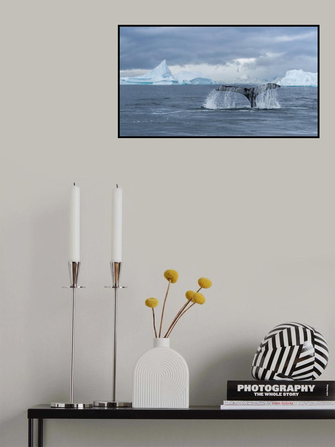 Solo dance Poster och Canvastavla