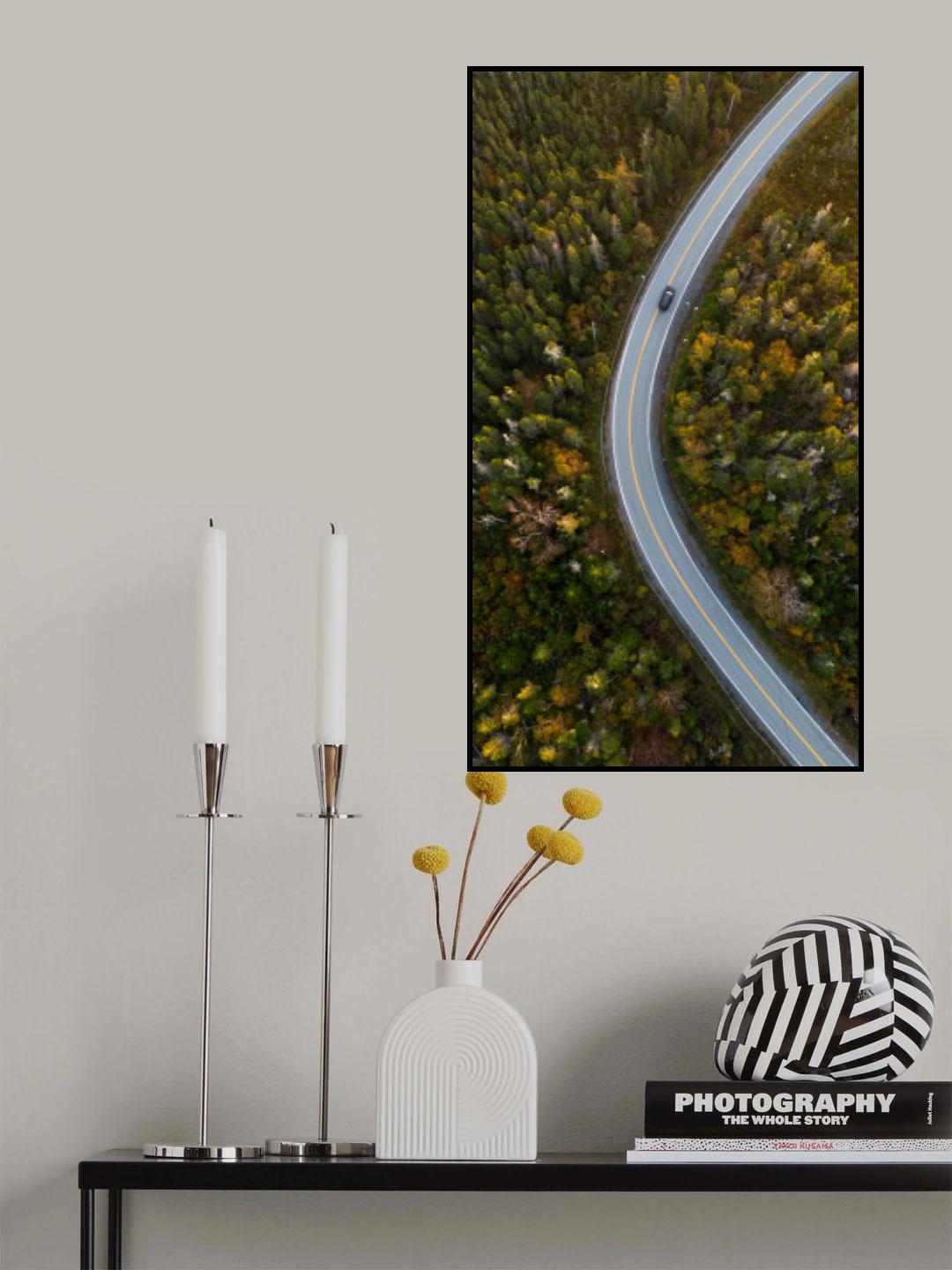 Curve Poster och Canvastavla