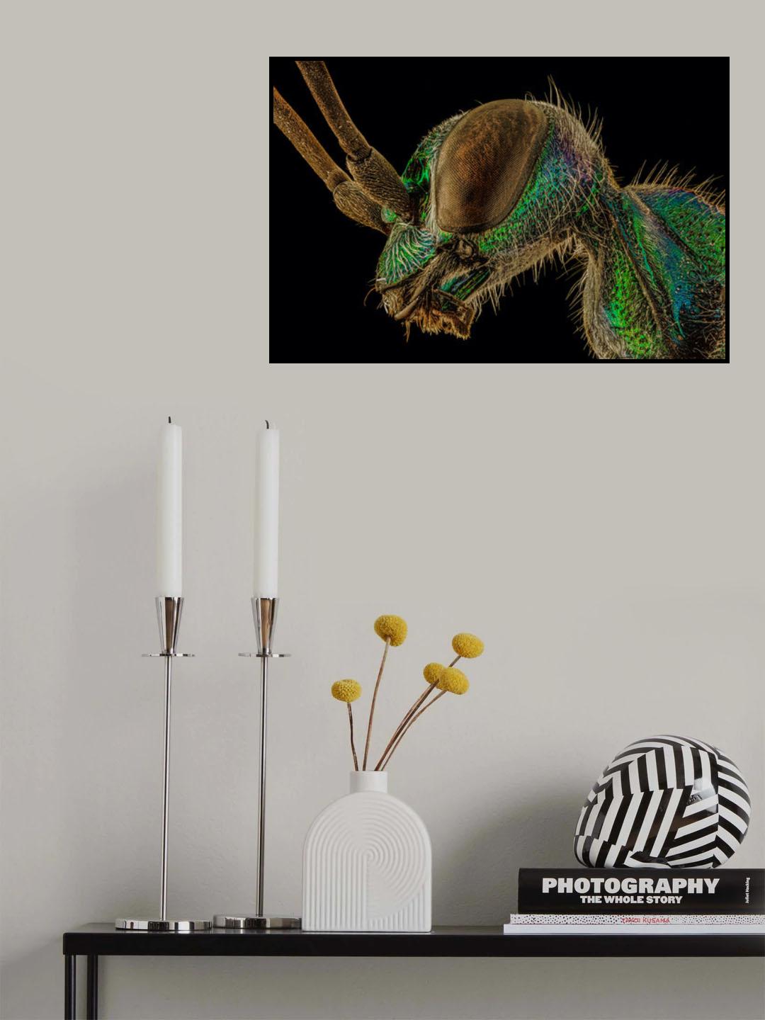 Alien Smile Poster och Canvastavla