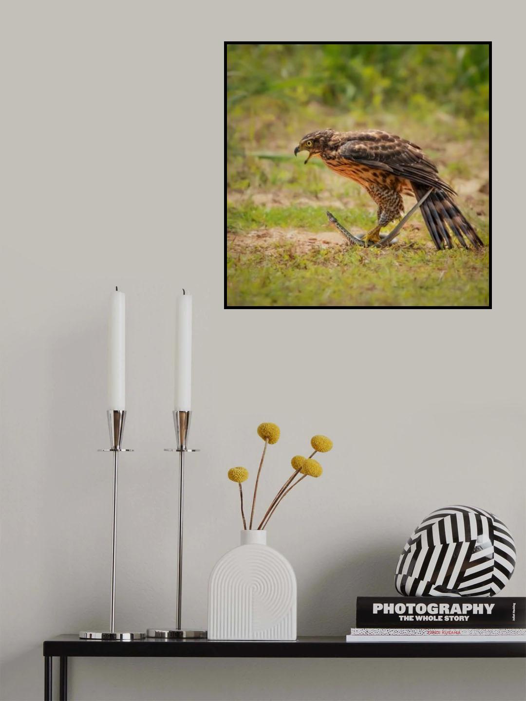 Eagle and snake Poster och Canvastavla