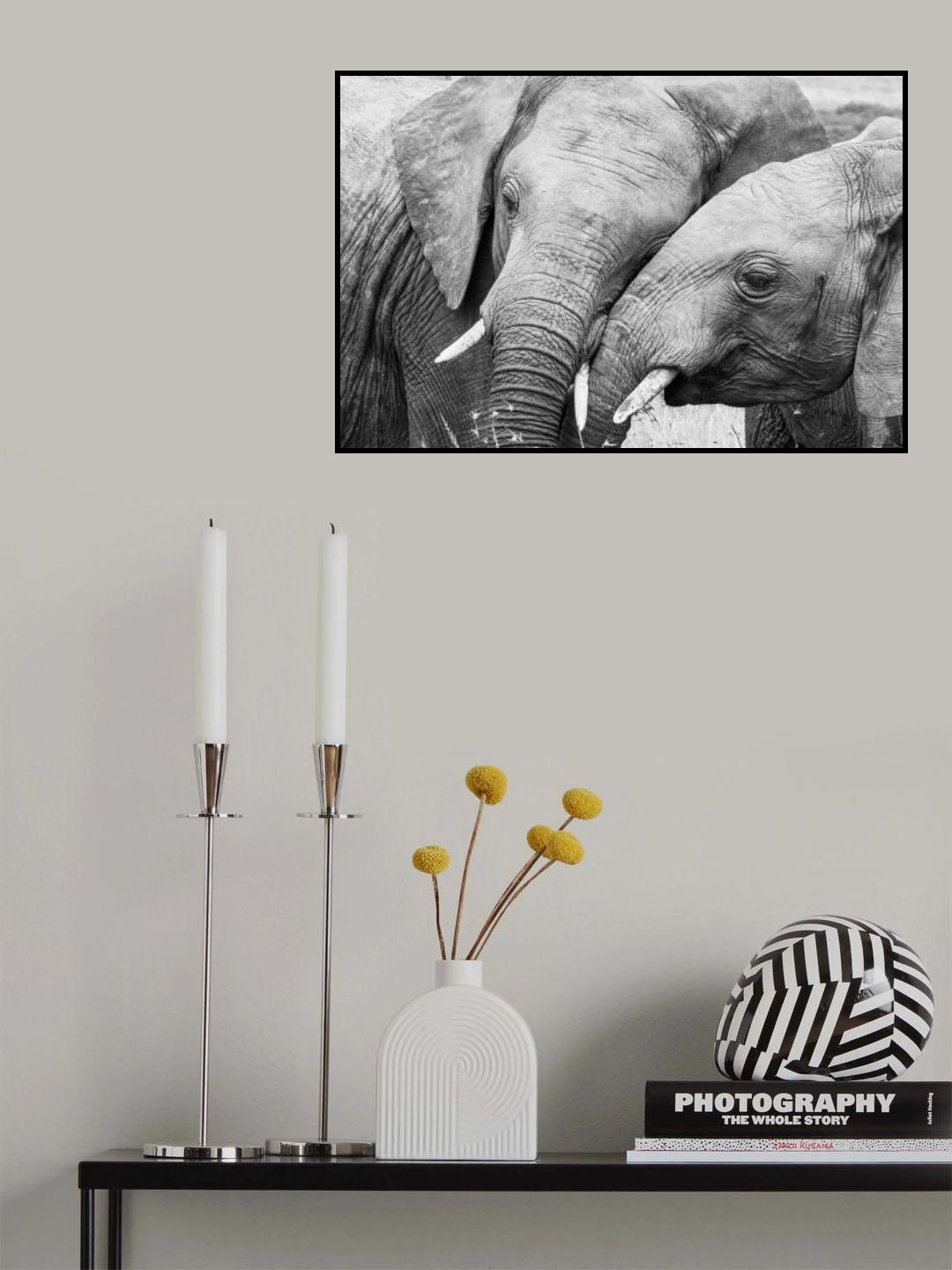 Affection Poster och Canvastavla