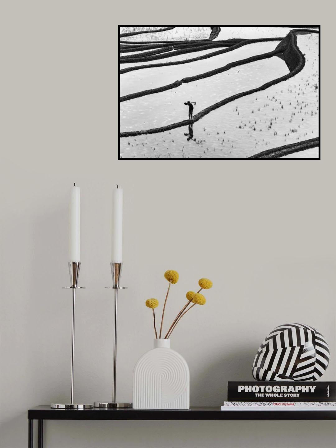 元阳梯田 Poster och Canvastavla